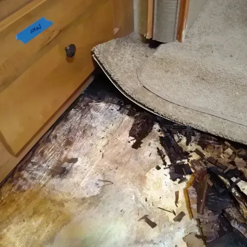 Best Wood Floor Water Damage Service in Raton, NM